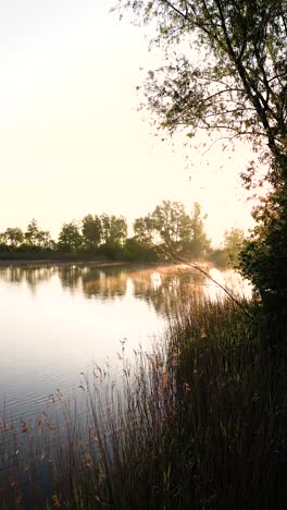 sunrise over a misty lake