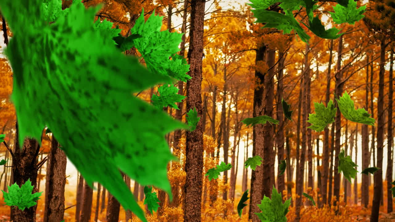 зелёные листья анимация над осенним лесом с высокими деревьями и оранжевой листьями