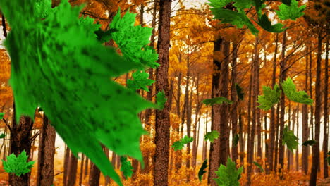 hojas verdes animación sobre el bosque de otoño con árboles altos y follaje naranja