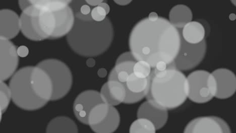 bokeh blanco y plateado de mosca con partículas en un fondo brillante