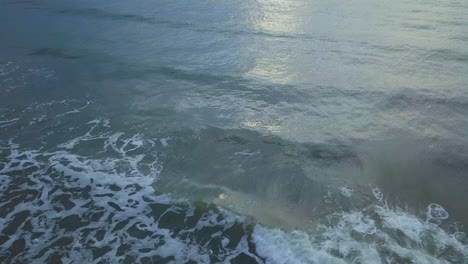 hermosa vista aérea de pájaro de la costa del mar báltico en una tarde soleada, puesta de sol, hora dorada, playa con arena blanca, erosión costera, cambios climáticos, tiro de muñeca de drones de gran angular moviéndose a la derecha