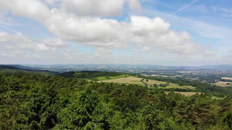 Aerial rising shot of the tops of lush fir trees to reveal a stunning view of the Devon countryside
