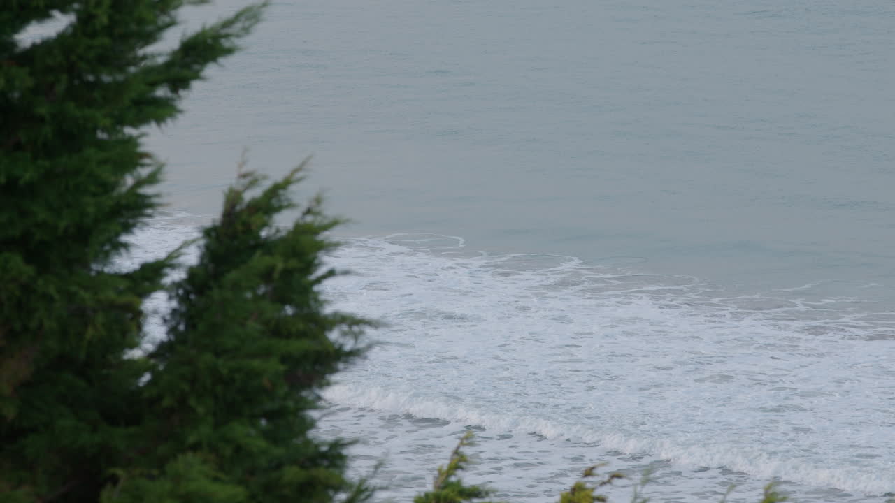 Mesmerising waves crash on New Zealand's eastern coastline in Castle Point