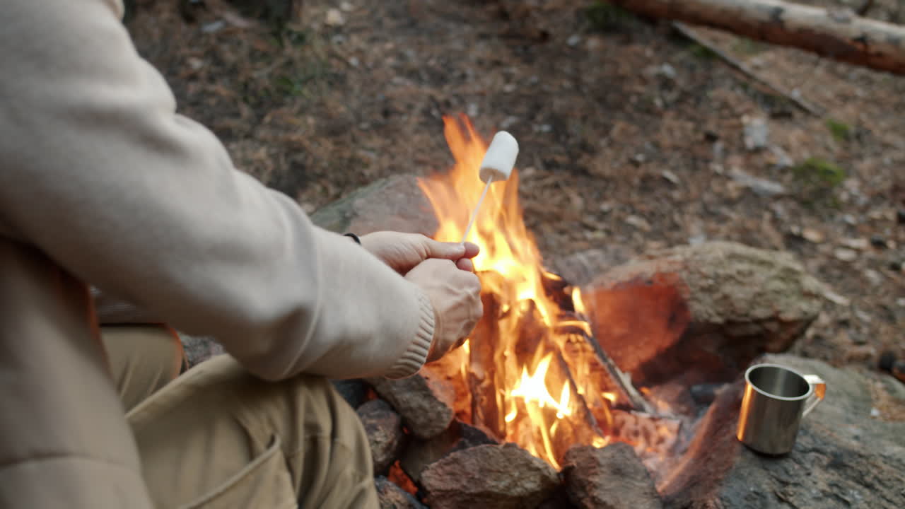 Marshmallows som stekes over et bål