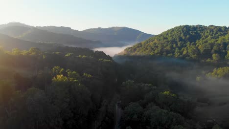 4k drone video flying above trees along mountain road in smoky mountains near asheville, nc on misty morning