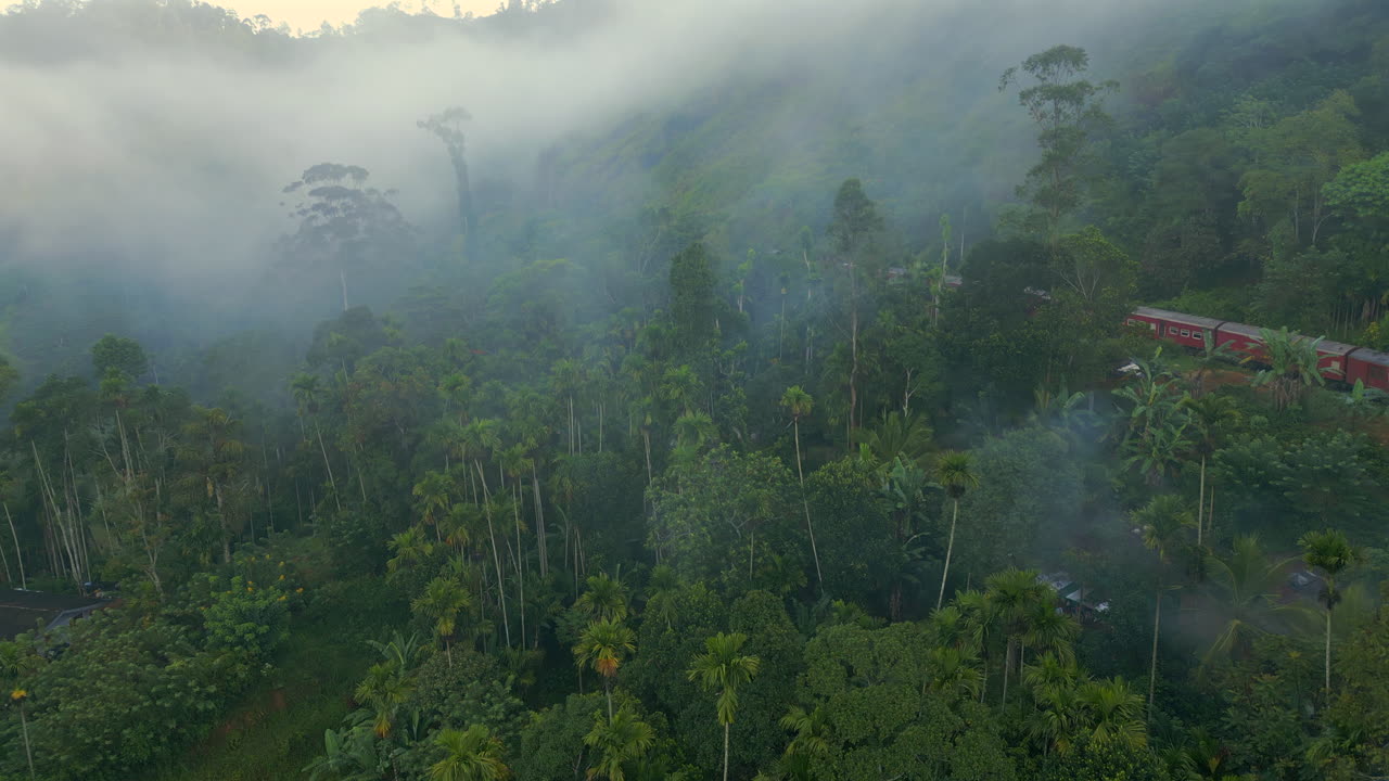 Ripresa aerea introduttiva con drone tra gli alberi e la nebbia di un treno notturno tra le colline a Ella, Sri Lanka