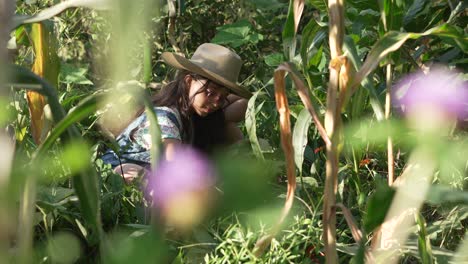 little girl playing in the middle of a cornfield, wearing a hat, coverall and eyeglasses