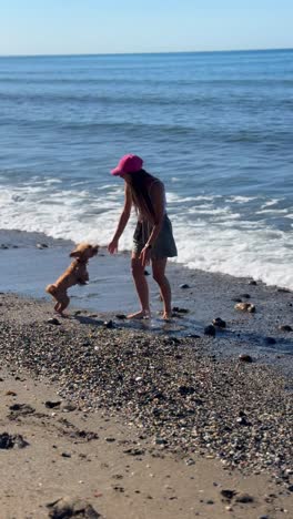 woman and dog playing on the beach