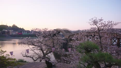 en la primavera de japón, el amanecer sobre kintaikyo y sakura al amanecer, tiro de pan 4k
