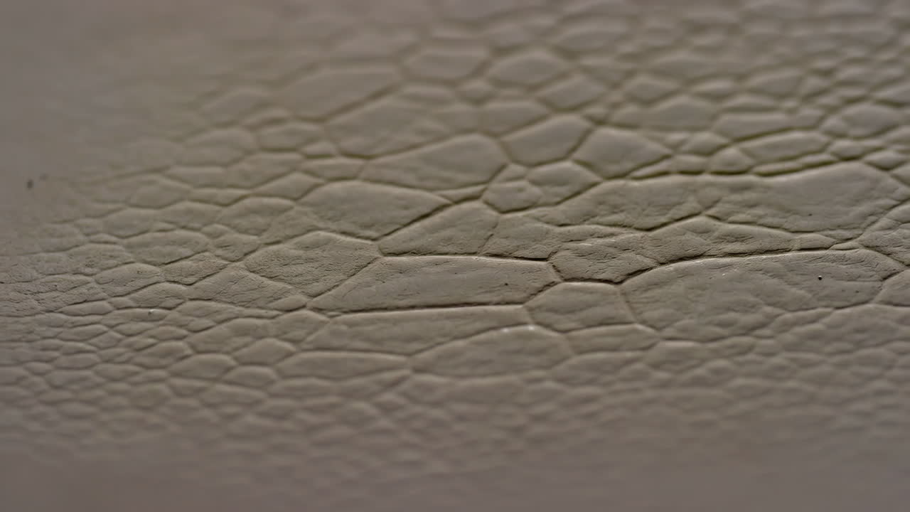 Close-up of a cracked, organic texture