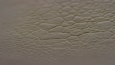 close-up of a cracked, organic texture