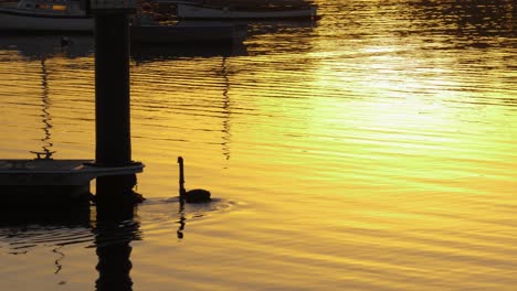 sunrise reflection near pier sunrise water reflection near st kilda pier