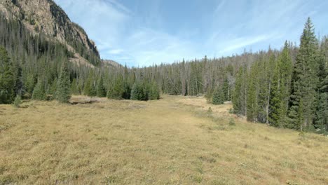 Luftbild-über-Wiese-In-Richtung-Bäume-Und-Berge-In-Colorado