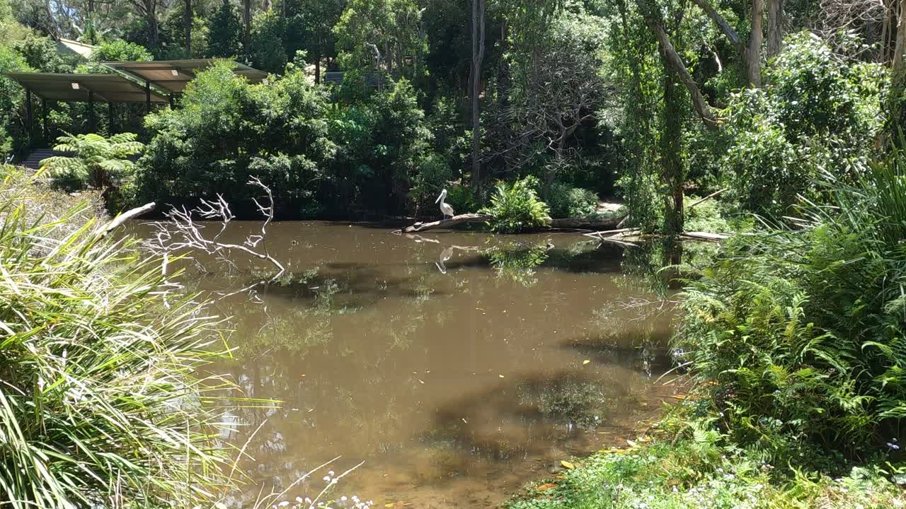 활기찬 숲의 잎자루 가운데 흐르는 평온한 강