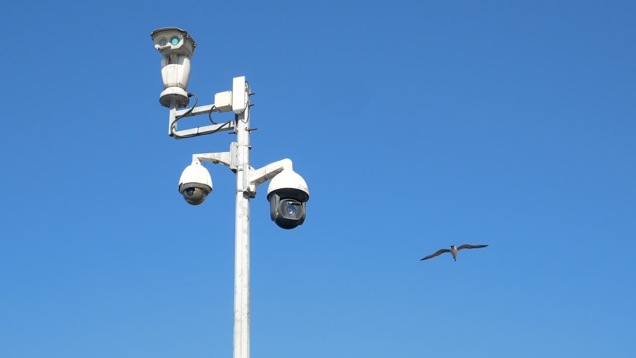 Multiple Security Cameras on a Pole