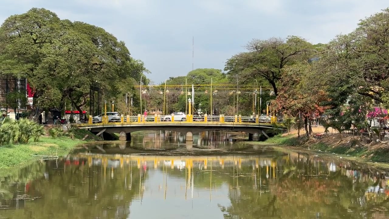 Một cây cầu đẹp bắc qua dòng sông yên ả được bao quanh bởi những hàng cây xanh tươi ở Campuchia