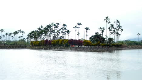 Flooded-rice-paddy-with-garden-and-building-in-the-background