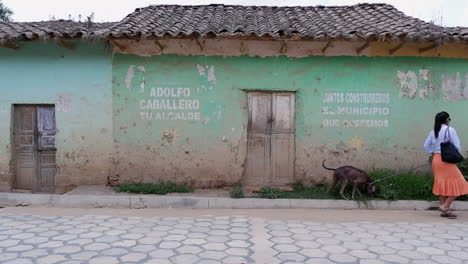 una mujer y un perro pasan por un antiguo edificio de personajes en un pueblo boliviano.