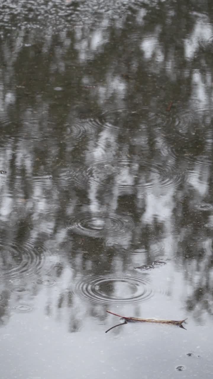 Water puddle in rain, drops creating ripples, vertical video in slow-motion