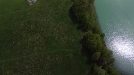 tiro de drone con campo verde y agua turquesa