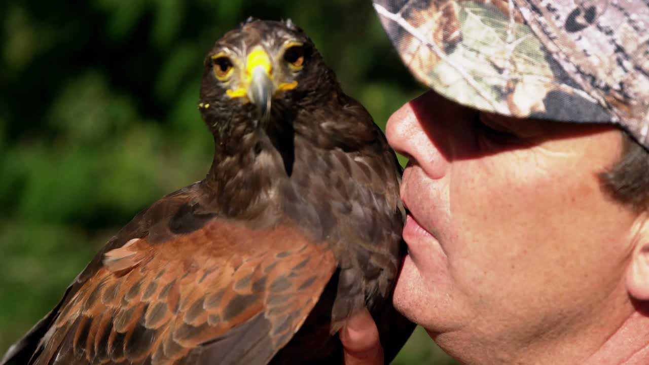 hombre entrenando un águila halcón
