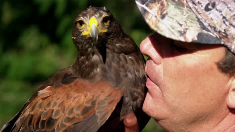 man training a falcon eagle