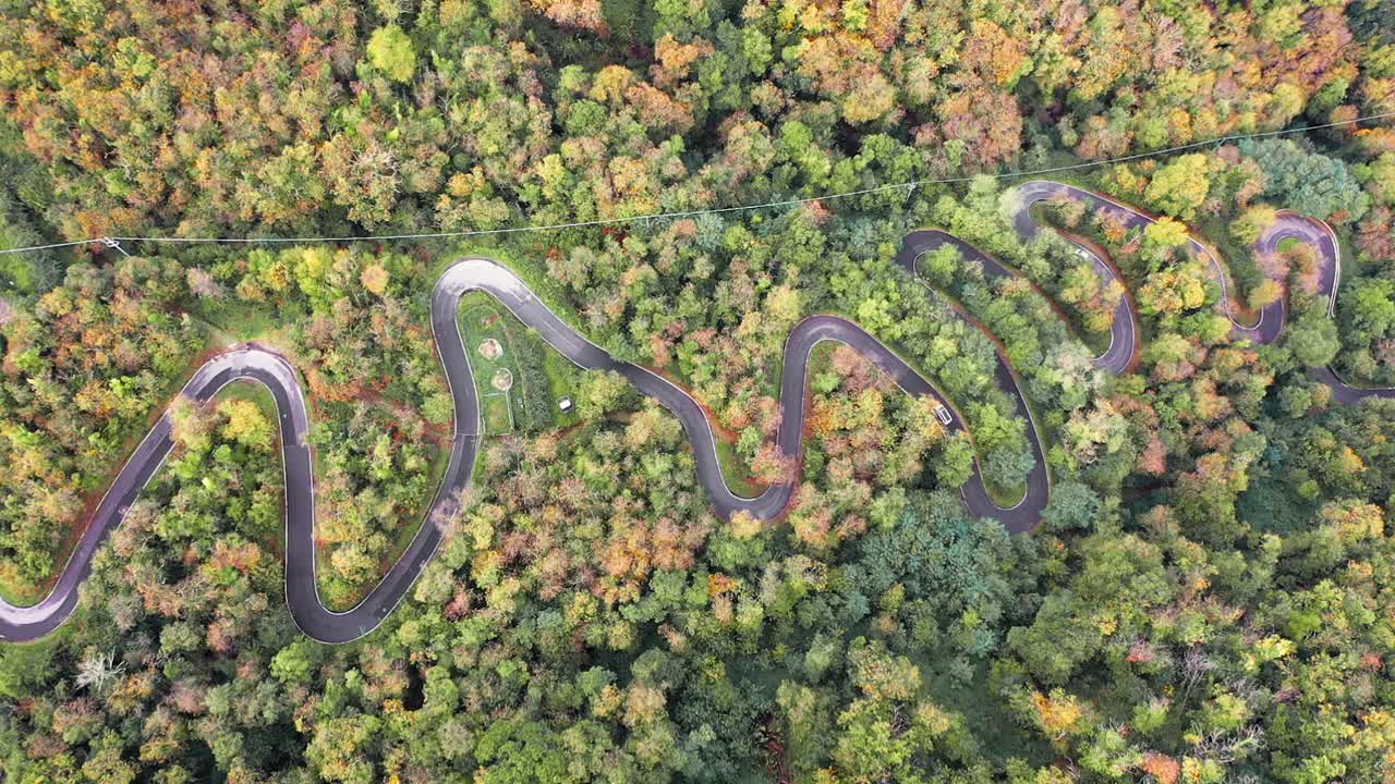 vista aérea de drones de autos - furgonetas conduciendo en un camino forestal con curvas a través de un idílico bosque otoñal con impresionantes colores de otoño - 4k italia