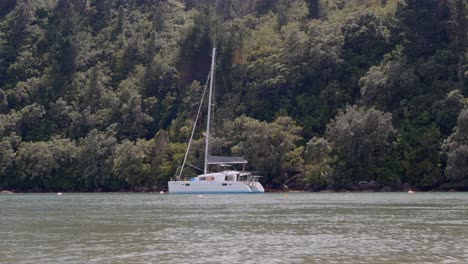 busy marina inlet with strong current