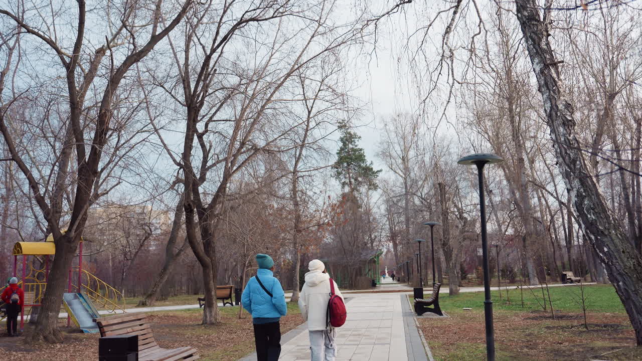 Tall leafless trees with scattered dry leaves stretch across winter sky as people stroll along quiet park path below, surrounded by serene natural setting and minimal urban lamp posts