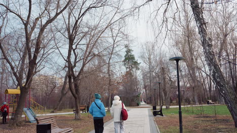 tall leafless trees with scattered dry leaves stretch across winter sky as people stroll along quiet park path below, surrounded by serene natural setting and minimal urban lamp posts