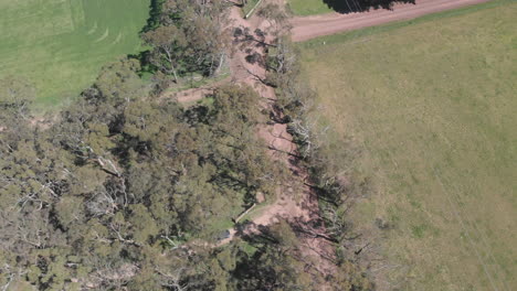 Aerial-view-following-vehicle-from-above-driving-along-road-with-tree-cover