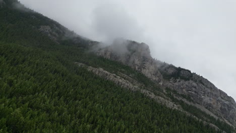 Dutch-Angle-of-Misty-Forest-Mountain