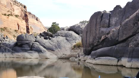 little black dog in black rocks canyon