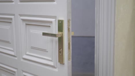 a close-up of a white door with a brass door handle