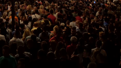 la multitud del concierto nocturno