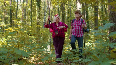 Senior-grey-haired-grandmother-grandfather-tourists-hiking-with-backpacks-and-trekking-poles-in-wood