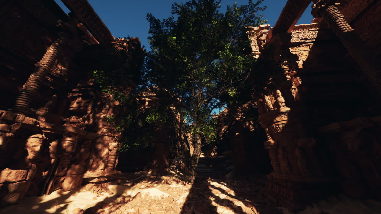 나무 로 뒤인 고대 폐허