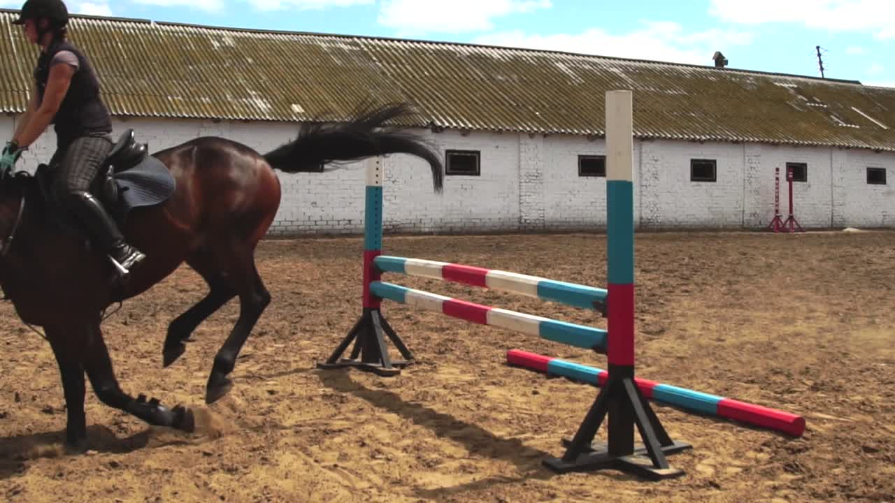 competición de salto de caballo