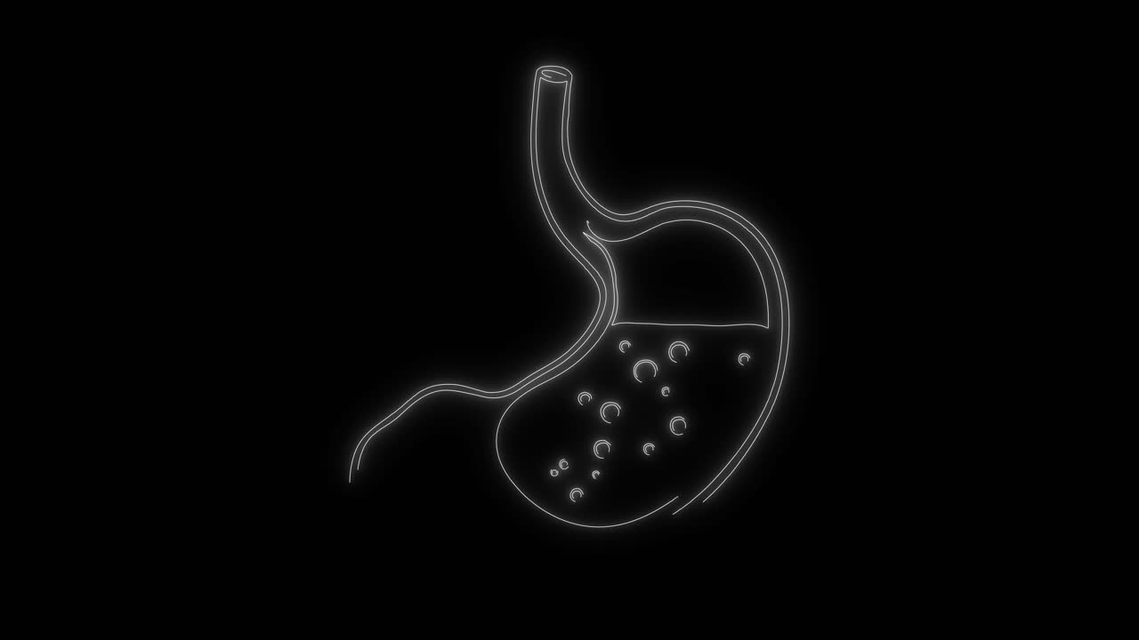 Animated Outline of Human Stomach with Digestion Process