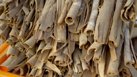 cinnamon close-up, fragrant fresh cinnamon in twisted sticks, cinnamon barks