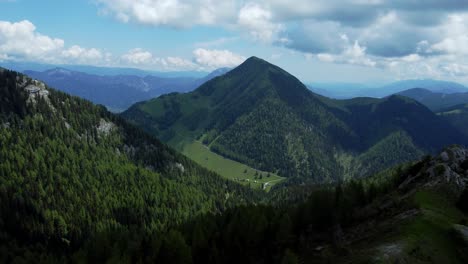 Mountainous-terrain-lush-greenery-and-towering-trees-2