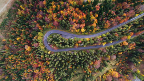 Drone-view-of-Winding-mountain-road-trough-the-forest-in-the-autumn-with-cars-passing-on-the-road