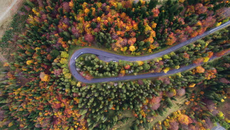 drone view of winding mountain road trough the forest in the autumn with cars passing on the road