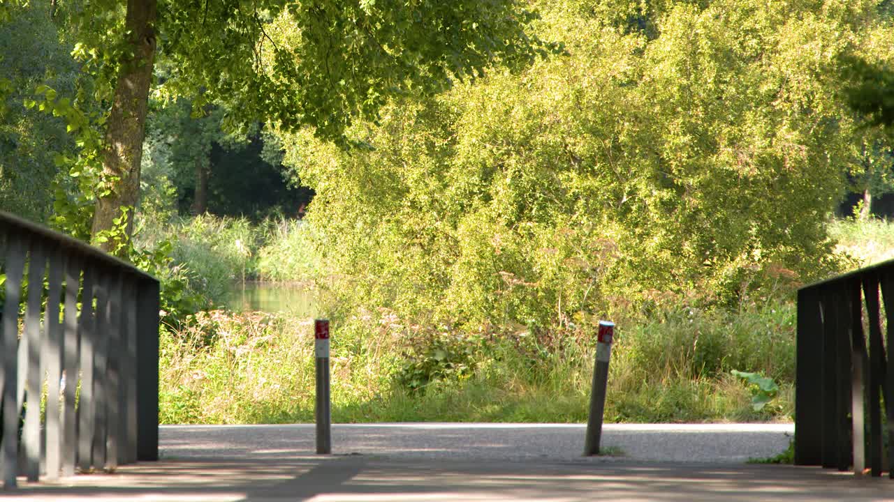 Cyclist and pedestrian cross a small bridge in a green, sunlit park setting