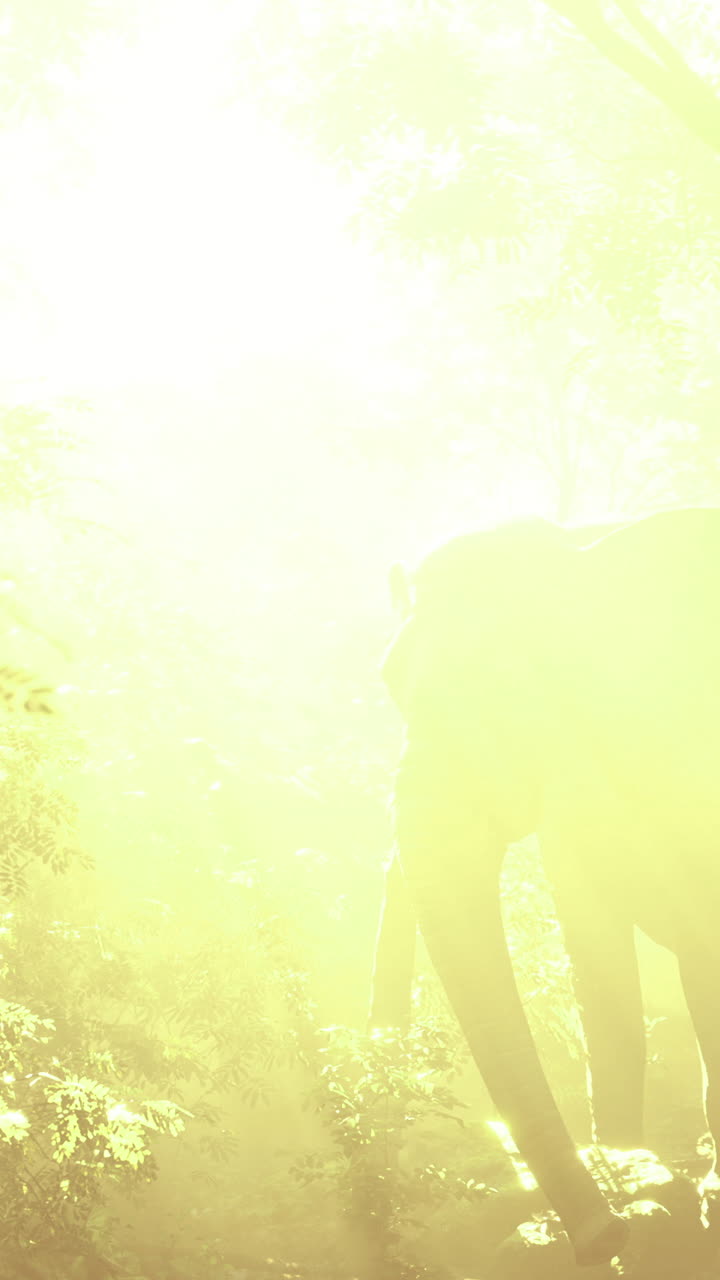 Majestic elephant outline during sunrise within lush surroundings