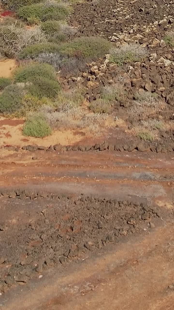 La scena mostra un paesaggio roccioso nelle Isole Canarie