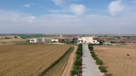 bodega gotica es una empresa familiar que lleva varias generaciones produciendo uva en el municipio de rueda