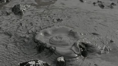 Boiling-hot-geothermal-volcanic-mud-pool,-closeup-shot-steamy-lake-bubbling-mud-and-steam