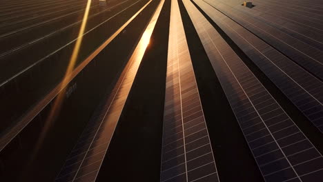solar panel farm at sunset