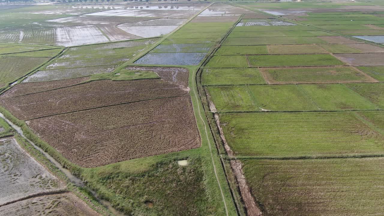 Backward aerial view of the wide farming paddy rice field plantation from Northern part of Vietnam